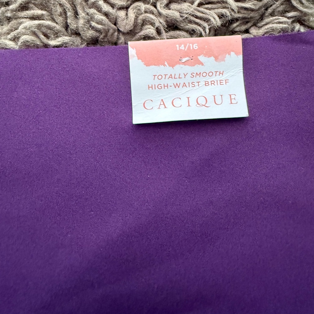 Cacique Totally Smooth High-Waist Brief 14/16 - Picture 2 of 3